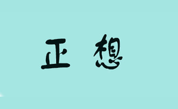廣州正想科技有限責任公司