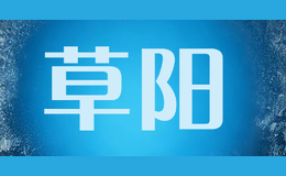 蘇州工業園區草陽網絡科技有限公司