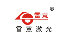 天津市雷意激光技術有限公司