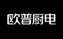 中山市艾普電器有限公司