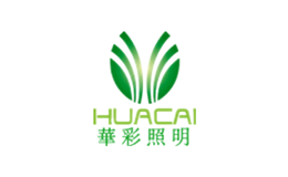 天津華彩信和電子科技集團股份有限公司