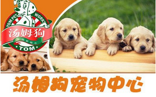 湯姆狗寵物品牌怎么樣.jpg