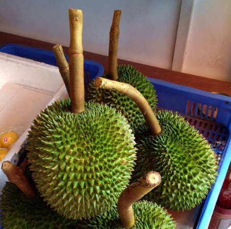 十大榴蓮品種排行榜 最好吃的榴蓮品種排名