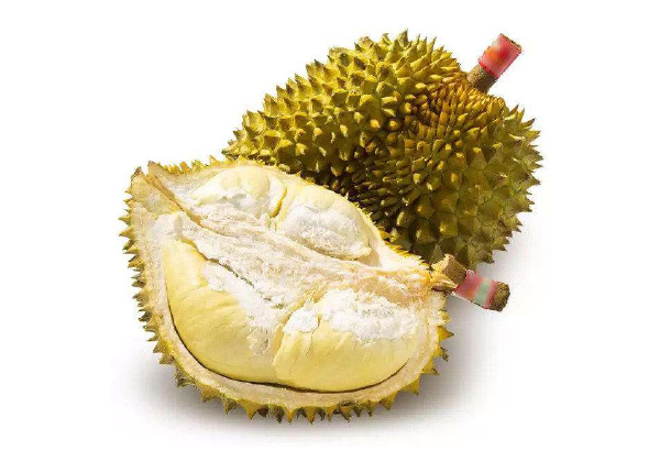 十大榴蓮品種排行榜 最好吃的榴蓮品種排名