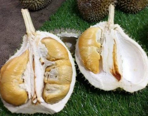 十大榴蓮品種排行榜 最好吃的榴蓮品種排名