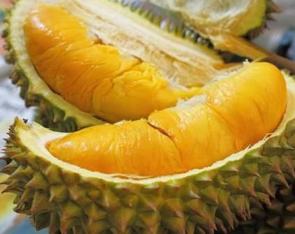 十大榴蓮品種排行榜 最好吃的榴蓮品種排名