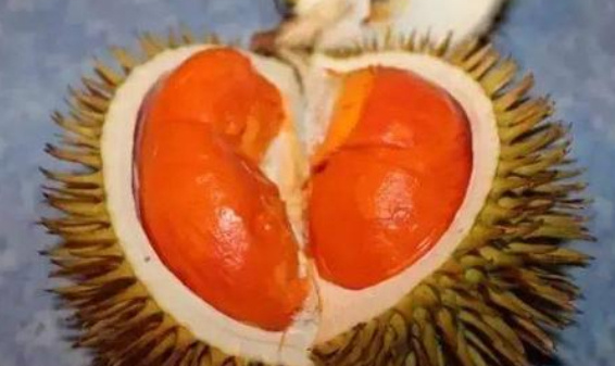 十大榴蓮品種排行榜 最好吃的榴蓮品種排名