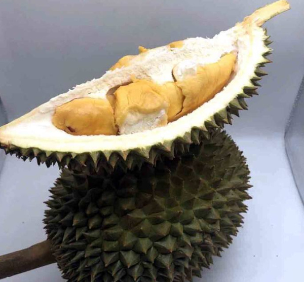 十大榴蓮品種排行榜 最好吃的榴蓮品種排名